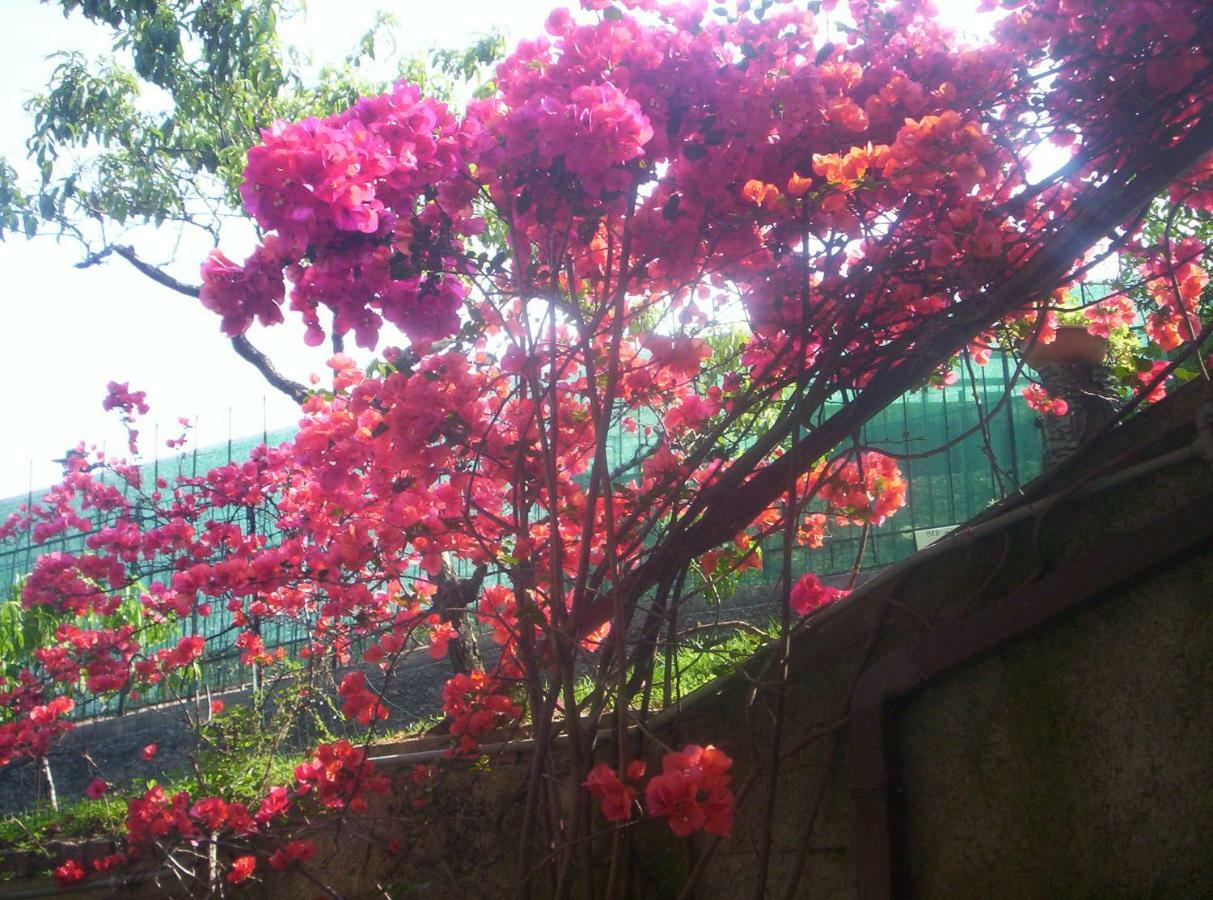 Le Gardenie Da Fil Bed & Breakfast Bordighera Ngoại thất bức ảnh