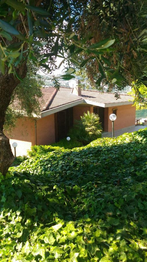 Le Gardenie Da Fil Bed & Breakfast Bordighera Ngoại thất bức ảnh
