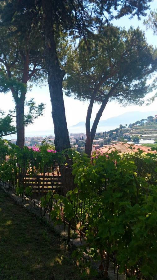 Le Gardenie Da Fil Bed & Breakfast Bordighera Ngoại thất bức ảnh